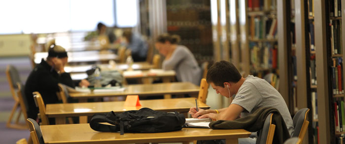 Students in library studying