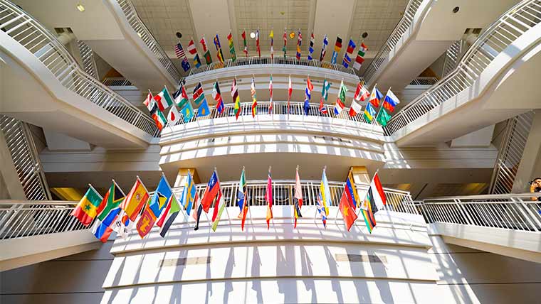 International flags decorate the interior levels of Strong Hall.